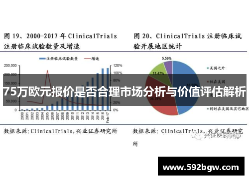 75万欧元报价是否合理市场分析与价值评估解析