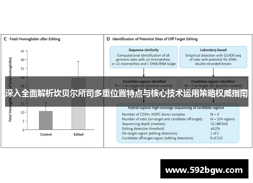 深入全面解析坎贝尔所司多重位置特点与核心技术运用策略权威指南 深入全面解析坎贝尔所司多重位置特点与核心技术运用策略权威指南